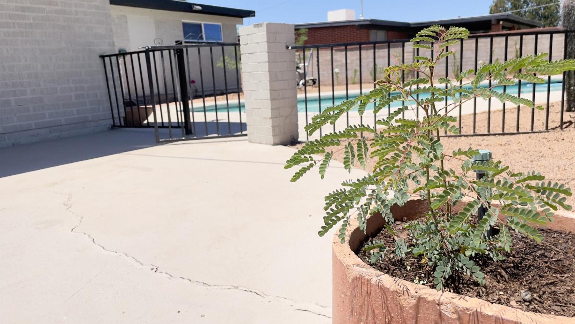 Private Home - Heated Pool, Billiards, Darts, Foosball, Fireplace, 5 Smart Tvs, Bbq, Cotton Bedding - The Saguaro Sanctuary, Pool Heat Optional Тусон Екстер'єр фото